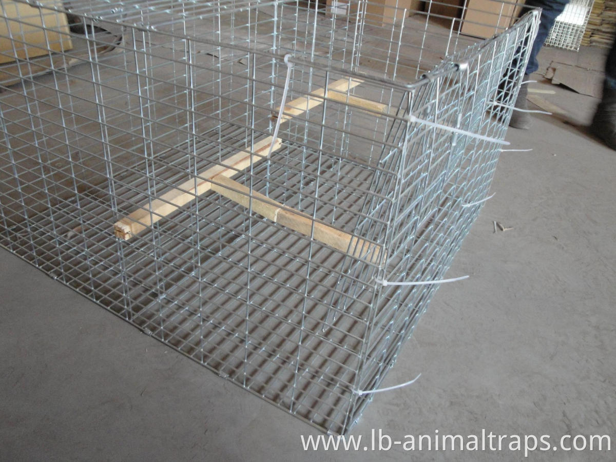 Humane Small Animal Traps